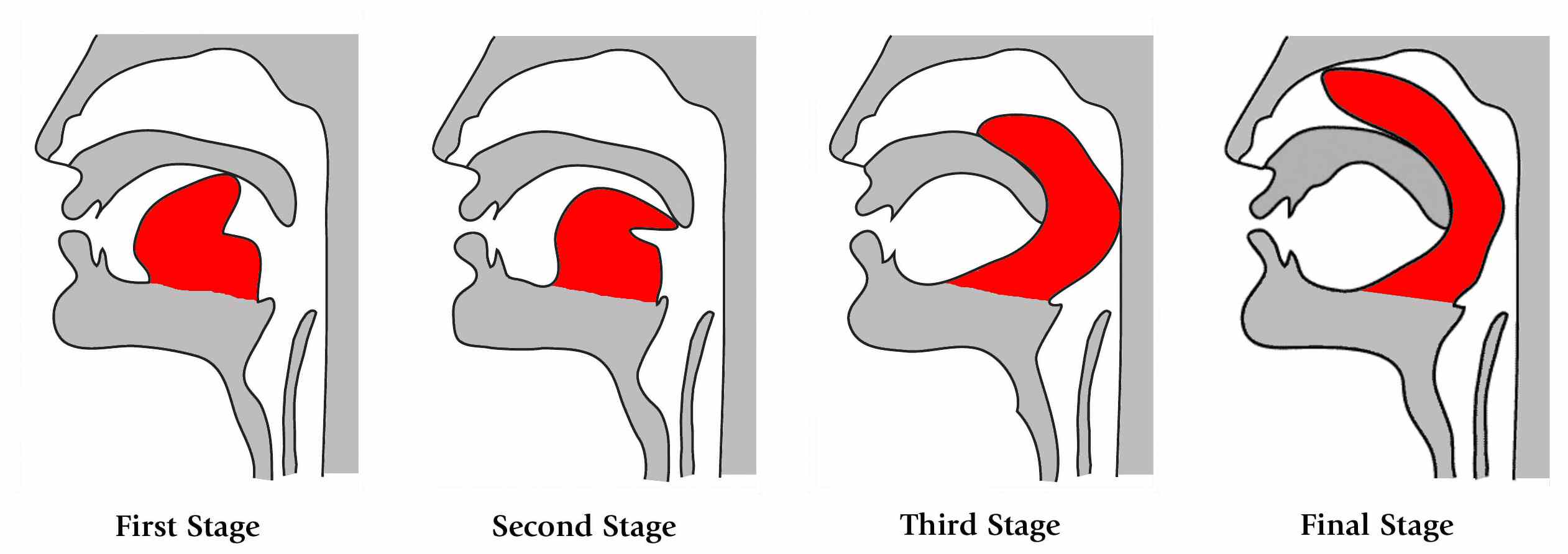 Four stages of kechari mudra. The tongue curls back to the soft palate, then the uvula, then behind the palate into the nasopharynx.